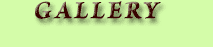 Gallery Button