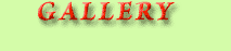 Gallery Here Button