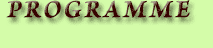 Programem Button